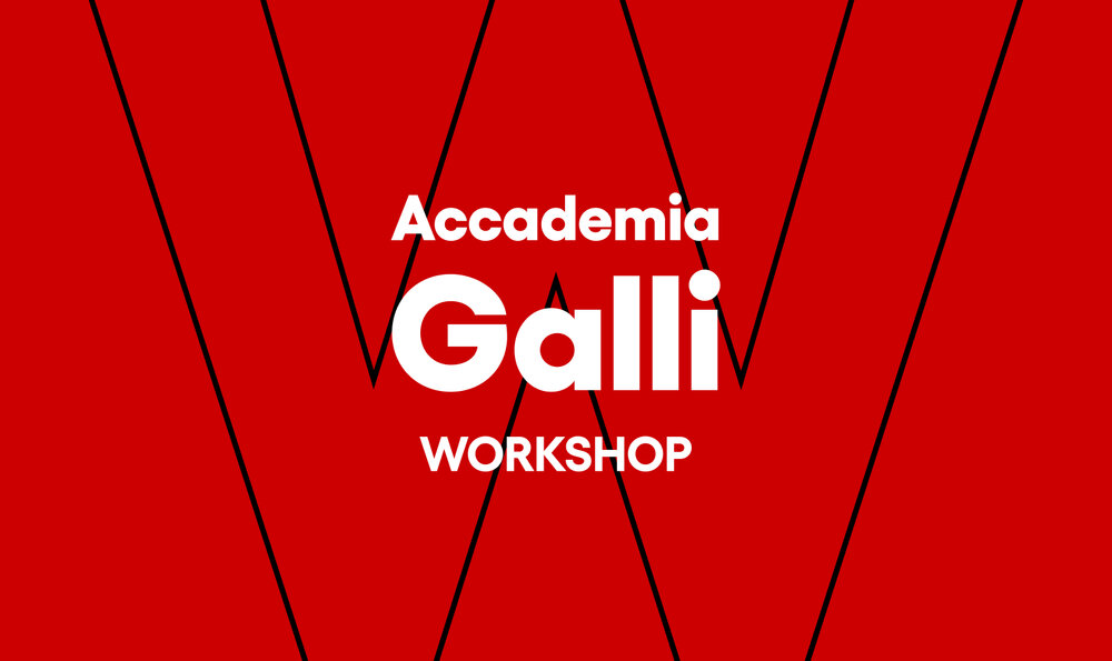 Workshop Accademia di Belle Arti Aldo Galli - Como